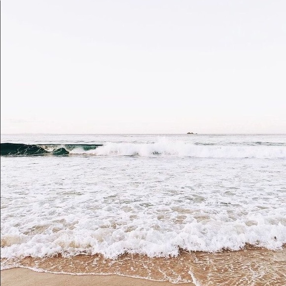 Meet your Posher, Karson - Picture 1 of 1